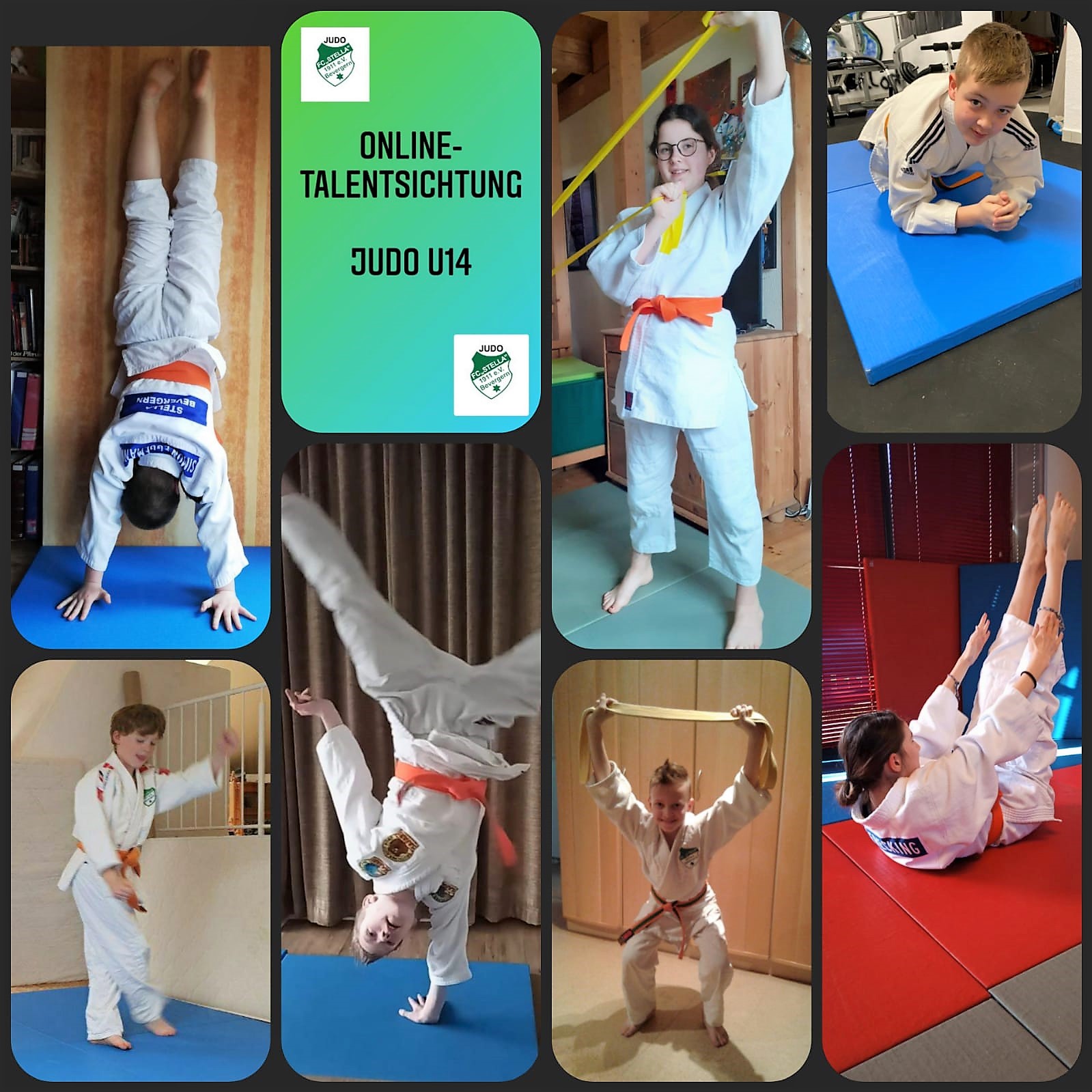 Judo Erfolgreiche digitale Judo-Talentsichtung